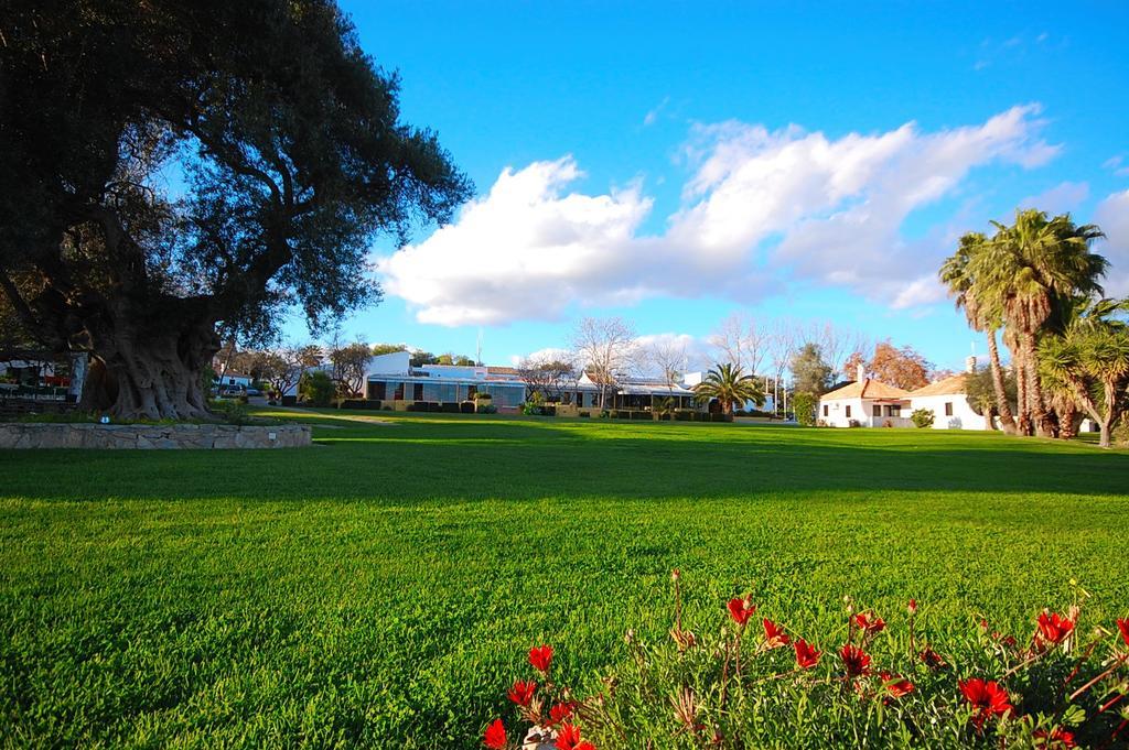 Casa de Férias Pedras D'el Rei V1 Tavira